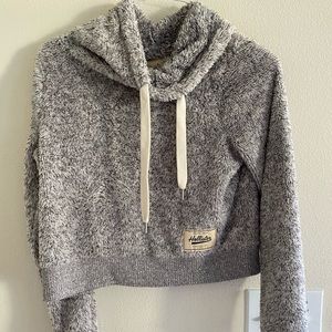 Hollister cropped sweater